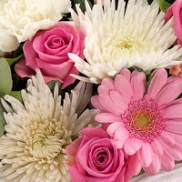 Occasion Flowers 1069539 Image 8